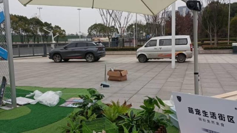 在展会流程中，需要注意以下事项：